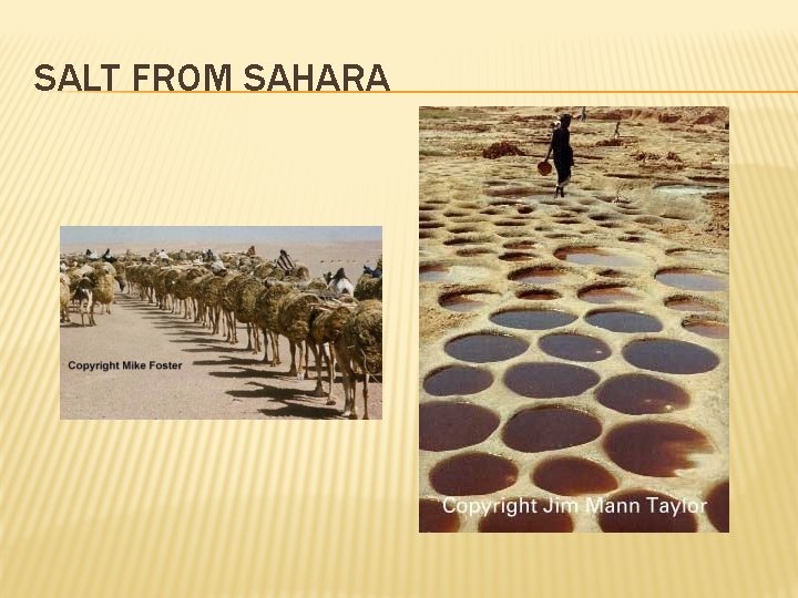 SALT FROM SAHARA 