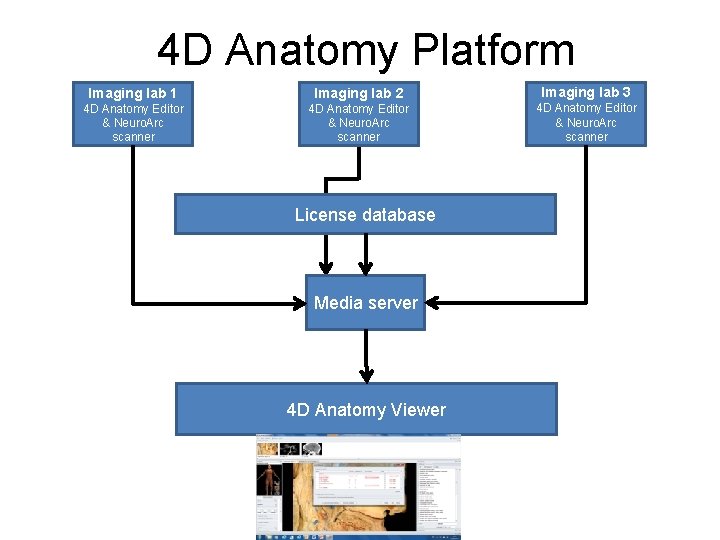 4 D Anatomy Platform Imaging lab 1 Imaging lab 2 Imaging lab 3 4