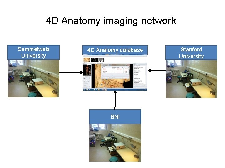 4 D Anatomy imaging network Semmelweis University 4 D Anatomy database BNI Stanford University