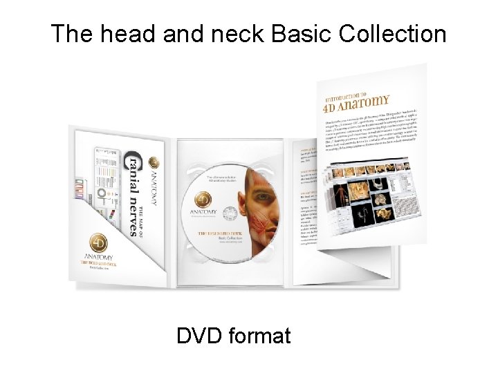 The head and neck Basic Collection 2010 DVD format 