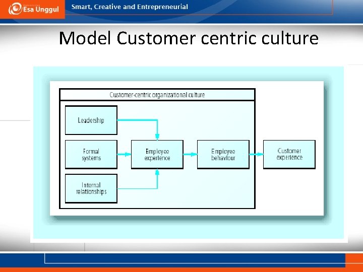 Model Customer centric culture 