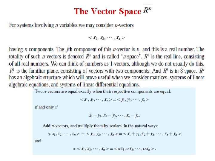 The Vector Space 