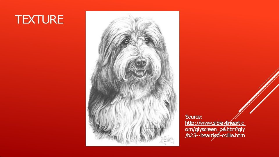 TEXTURE Source: http: //www. sibleyfineart. c om/glyscreen_oe. htm? gly /b 23 --bearded-collie. htm 