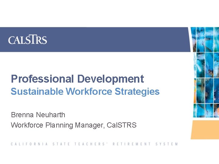 Professional Development Sustainable Workforce Strategies Brenna Neuharth Workforce Planning Manager, Cal. STRS 