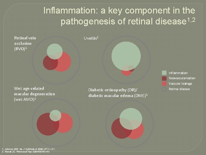 Inflammation: a key component in the pathogenesis of retinal disease 1, 2 Retinal vein