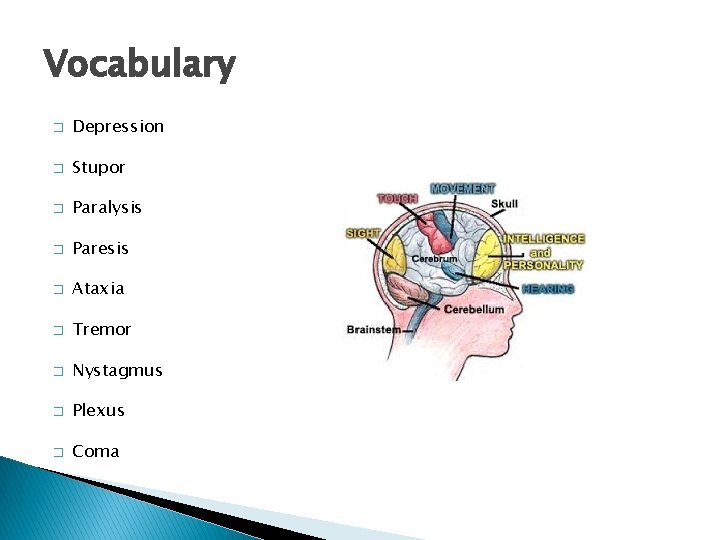 Vocabulary � Depression � Stupor � Paralysis � Paresis � Ataxia � Tremor �