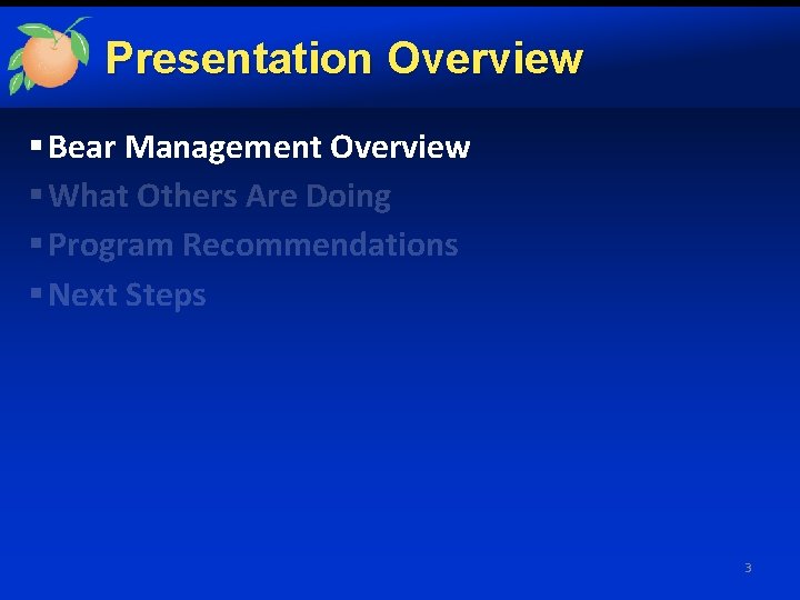 Presentation Overview § Bear Management Overview § What Others Are Doing § Program Recommendations