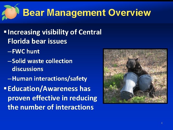 Bear Management Overview § Increasing visibility of Central Florida bear issues – FWC hunt