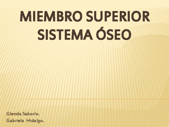 MIEMBRO SUPERIOR SISTEMA ÓSEO Glenda Saborío. Gabriela Hidalgo. 