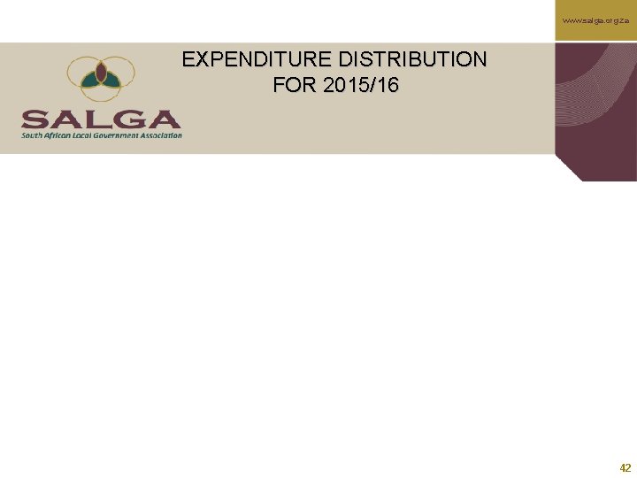 www. salga. org. za EXPENDITURE DISTRIBUTION FOR 2015/16 42 