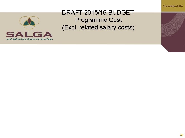 www. salga. org. za DRAFT 2015/16 BUDGET Programme Cost (Excl. related salary costs) 45