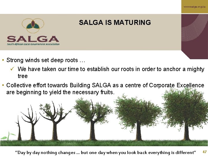 www. salga. org. za SALGA IS MATURING • Strong winds set deep roots …