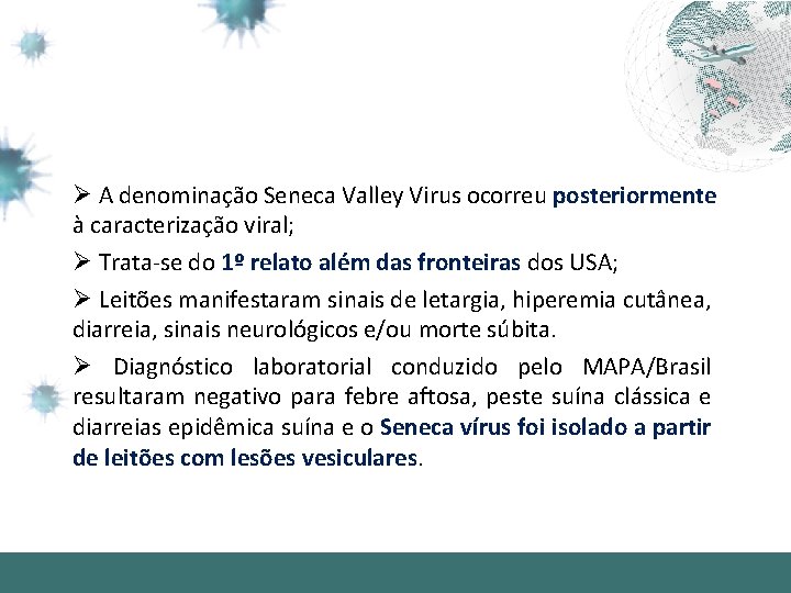 Ø A denominação Seneca Valley Virus ocorreu posteriormente à caracterização viral; Ø Trata-se do