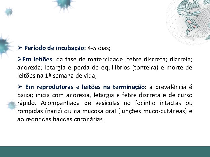 Ø Período de incubação: 4 -5 dias; ØEm leitões: da fase de maternidade; febre