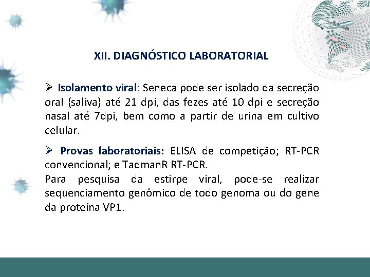 XII. DIAGNÓSTICO LABORATORIAL Ø Isolamento viral: Seneca pode ser isolado da secreção oral (saliva)