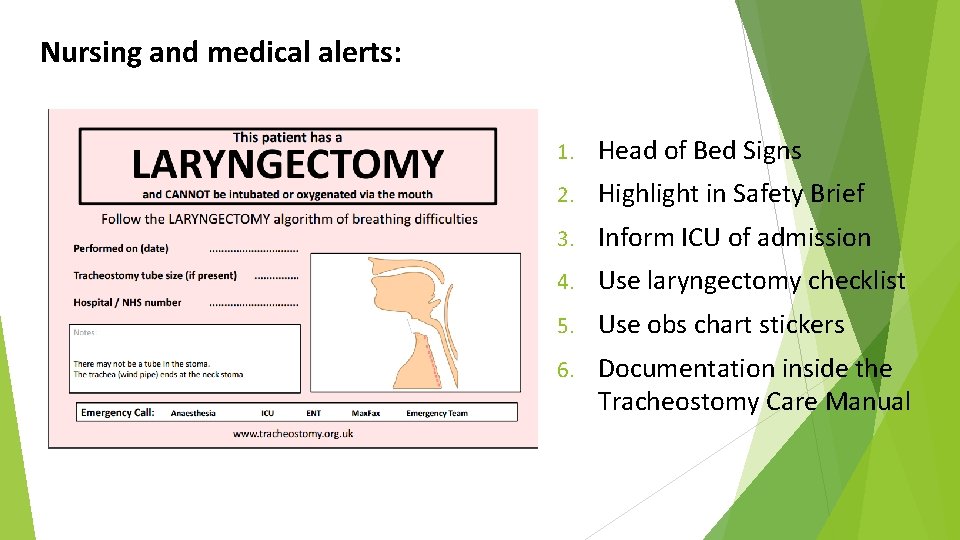 Nursing and medical alerts: 1. Head of Bed Signs 2. Highlight in Safety Brief