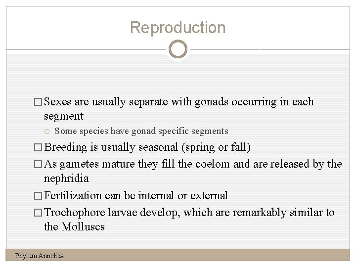 Reproduction 17 � Sexes are usually separate with gonads occurring in each segment Some