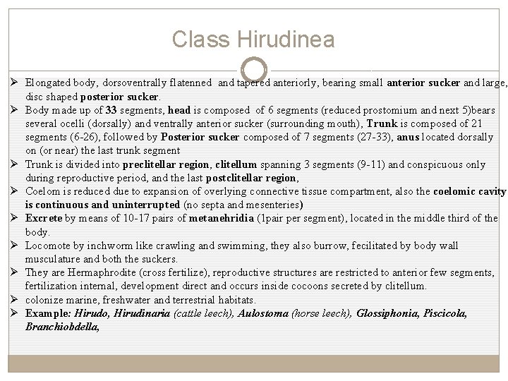 Class Hirudinea Ø Elongated body, dorsoventrally flatenned and tapered anteriorly, bearing small anterior sucker