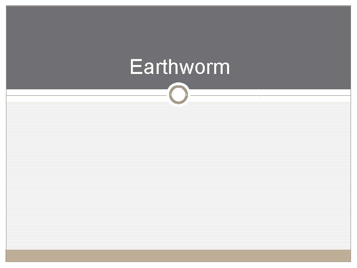 Earthworm 