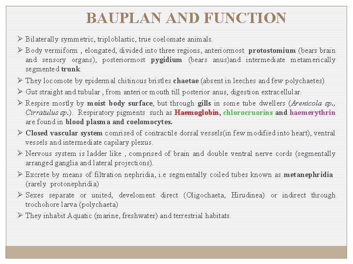 BAUPLAN AND FUNCTION Ø Bilaterally symmetric, triploblastic, true coelomate animals. Ø Body vermiform ,