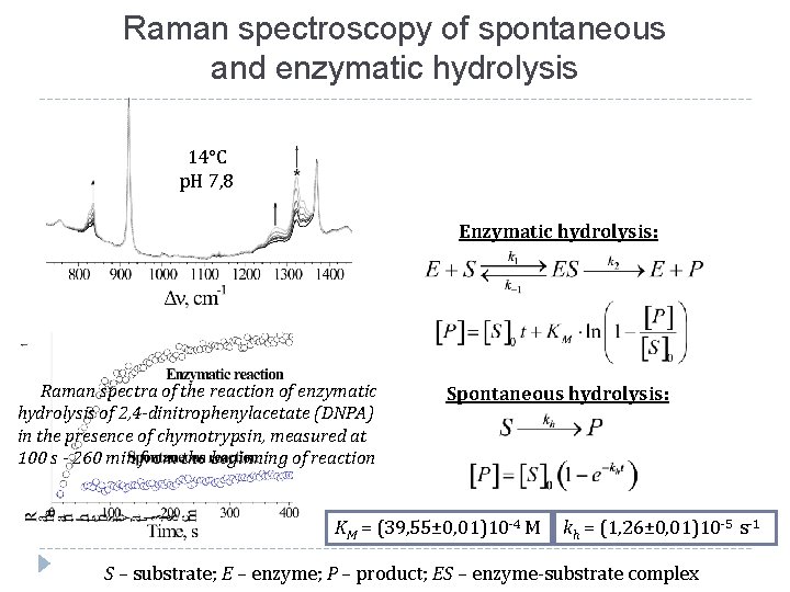 Raman spectroscopy of spontaneous and enzymatic hydrolysis 14°С p. H 7, 8 Enzymatic hydrolysis: