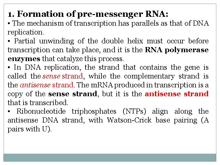 1. Formation of pre-messenger RNA: • The mechanism of transcription has parallels as that