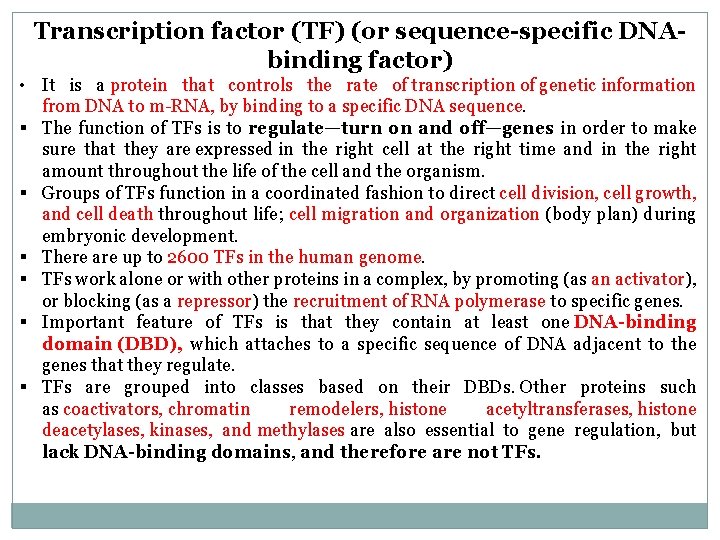 Transcription factor (TF) (or sequence-specific DNAbinding factor) • It is a protein that controls