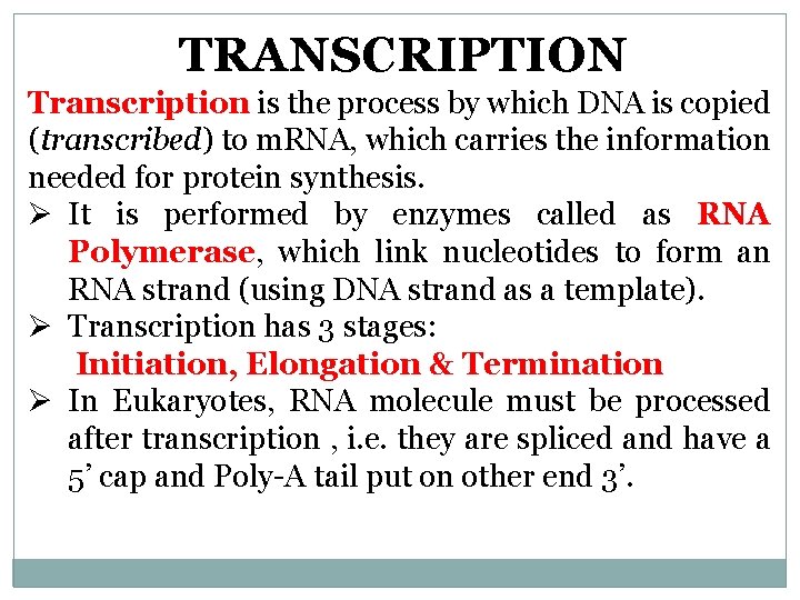 TRANSCRIPTION Transcription is the process by which DNA is copied (transcribed) to m. RNA,