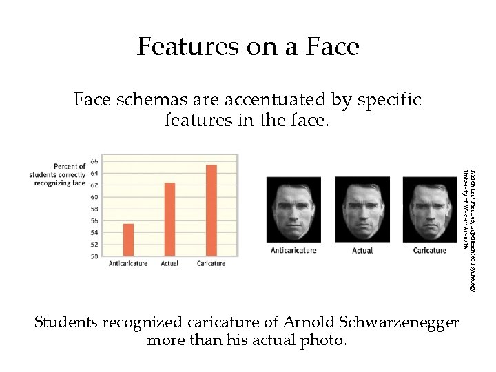 Features on a Face schemas are accentuated by specific features in the face. Kieran