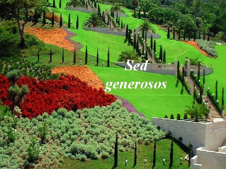 Sed generosos 