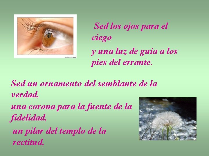 Sed los ojos para el ciego y una luz de guía a los pies