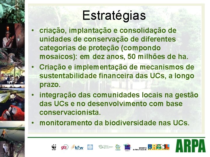 Estratégias • criação, implantação e consolidação de unidades de conservação de diferentes categorias de