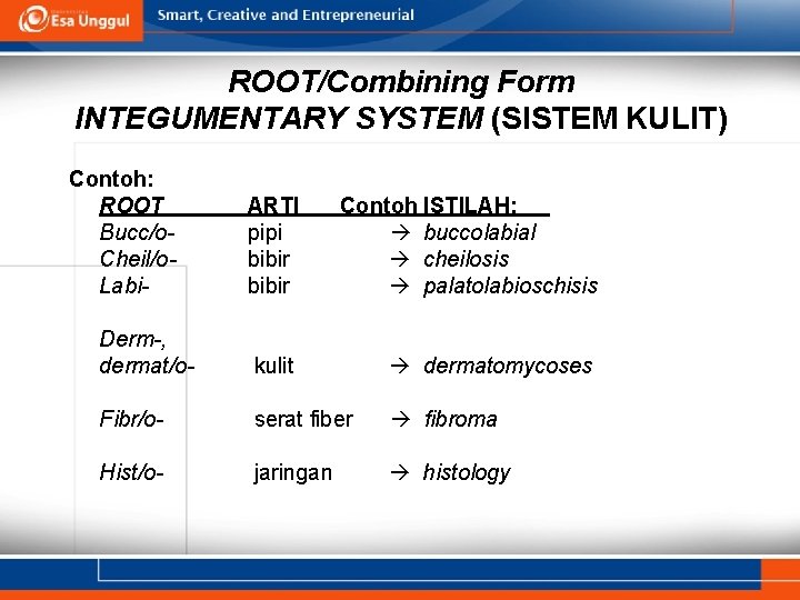 ROOT/Combining Form INTEGUMENTARY SYSTEM (SISTEM KULIT) Contoh: ROOT Bucc/o. Cheil/o. Labi- ARTI pipi bibir