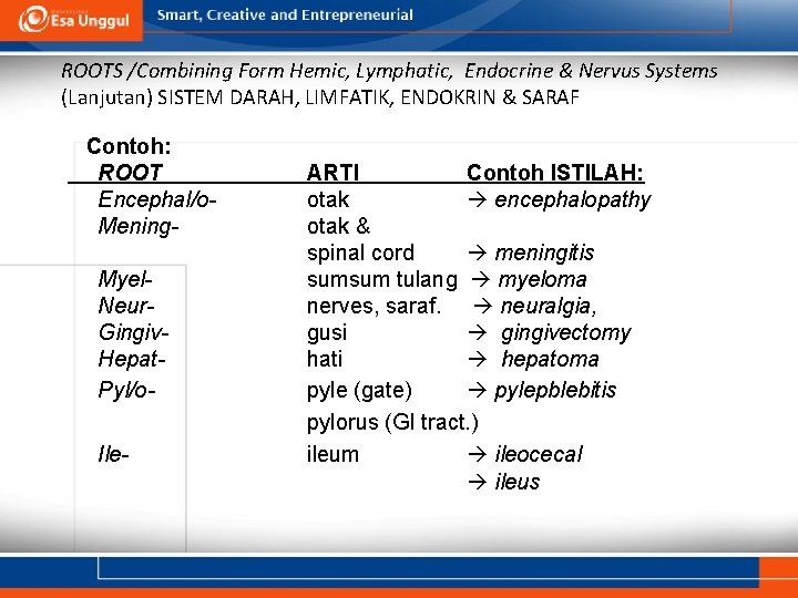 ROOTS /Combining Form Hemic, Lymphatic, Endocrine & Nervus Systems (Lanjutan) SISTEM DARAH, LIMFATIK, ENDOKRIN