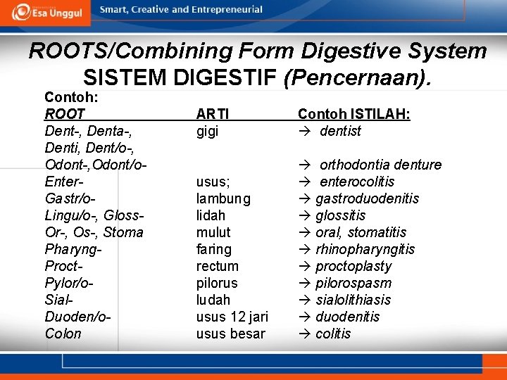 ROOTS/Combining Form Digestive System SISTEM DIGESTIF (Pencernaan). Contoh: ROOT Dent-, Denta-, Denti, Dent/o-, Odont/o.