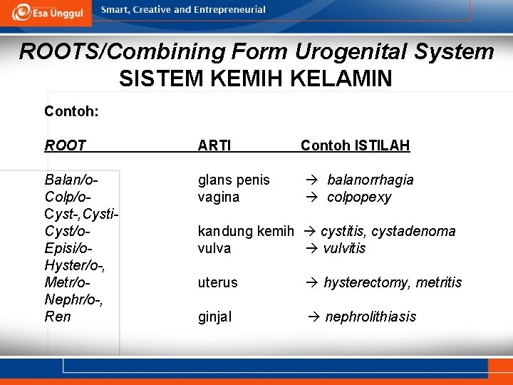 ROOTS/Combining Form Urogenital System SISTEM KEMIH KELAMIN Contoh: ROOT ARTI Contoh ISTILAH Balan/o. Colp/o.