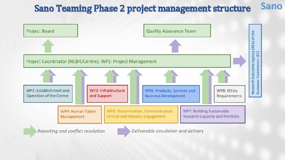 Sano Teaming Phase 2 project management structure Sano 