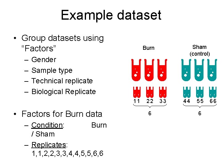 Example dataset • Group datasets using “Factors” – – Sham (control) Burn Gender Sample