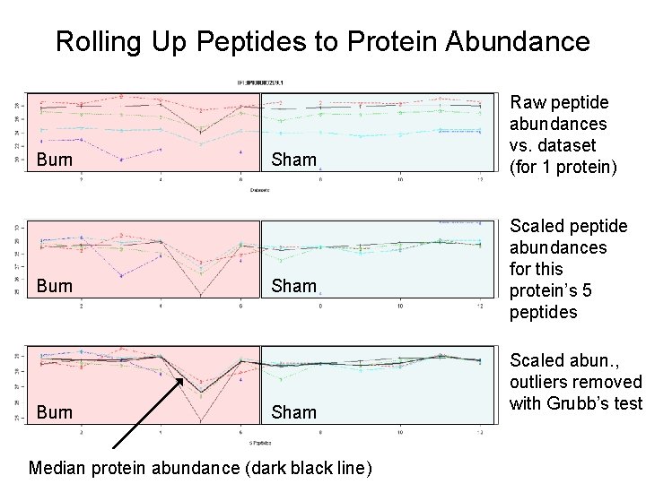 Rolling Up Peptides to Protein Abundance Burn Sham Median protein abundance (dark black line)