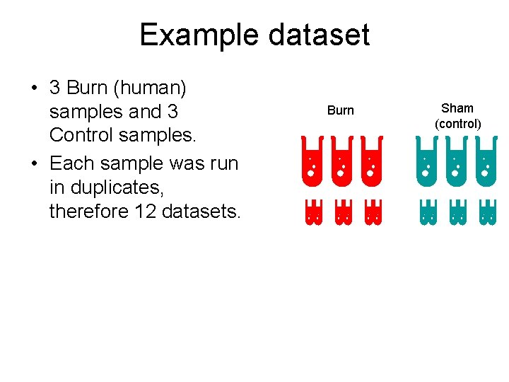 Example dataset • 3 Burn (human) samples and 3 Control samples. • Each sample