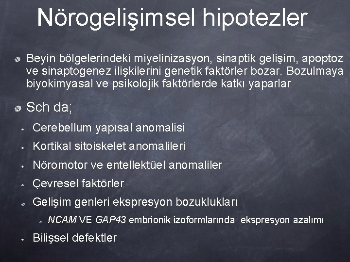 Nörogelişimsel hipotezler Beyin bölgelerindeki miyelinizasyon, sinaptik gelişim, apoptoz ve sinaptogenez ilişkilerini genetik faktörler bozar.