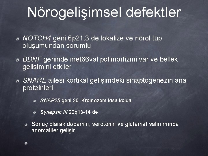 Nörogelişimsel defektler NOTCH 4 geni 6 p 21. 3 de lokalize ve nörol tüp