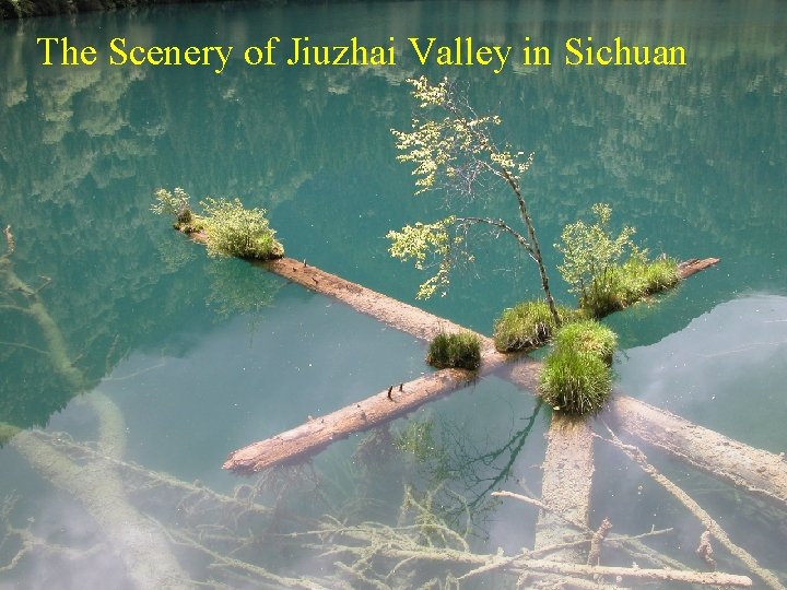 The Scenery of Jiuzhai Valley in Sichuan The Scenery of Jiuzhai Valley in Sichuan
