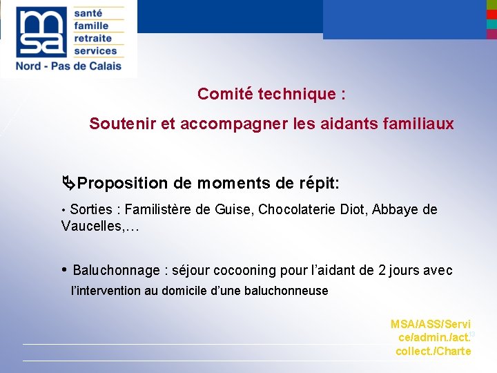 Comité technique : Soutenir et accompagner les aidants familiaux Proposition de moments de répit: