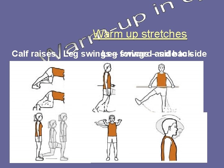 Warm up stretches Calf raises Leg swings Leg – swings forward–and sideback to side