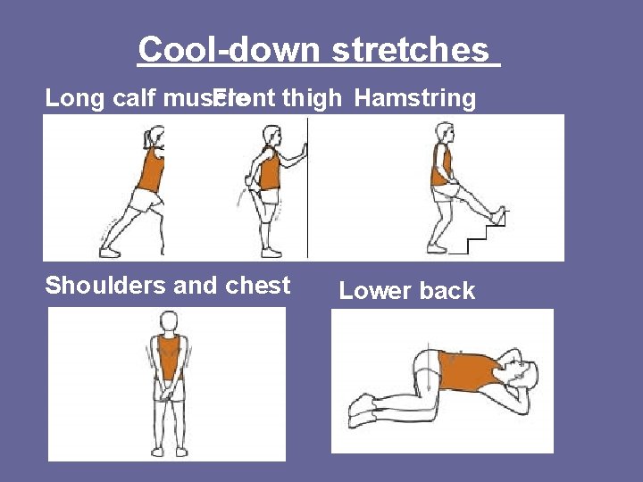 Cool-down stretches Long calf muscle Front thigh Hamstring Shoulders and chest Lower back 