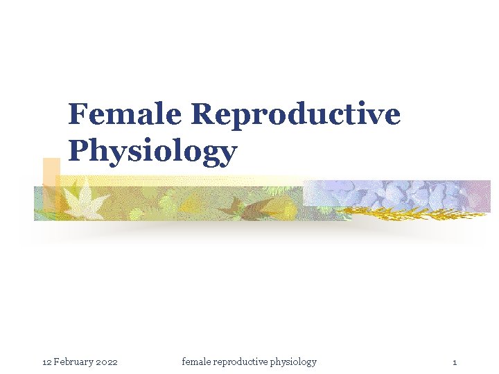 Female Reproductive Physiology 12 February 2022 female reproductive physiology 1 
