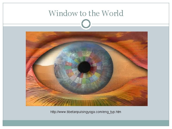 Window to the World http: //www. tibetanpulsingyoga. com/eng_typ. htm 