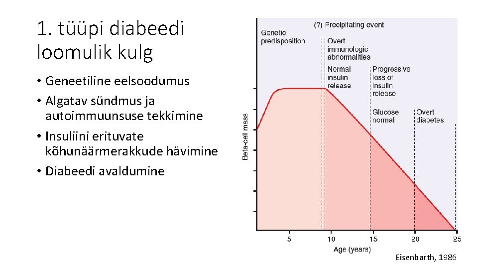 1. tüüpi diabeedi loomulik kulg • Geneetiline eelsoodumus • Algatav sündmus ja autoimmuunsuse tekkimine