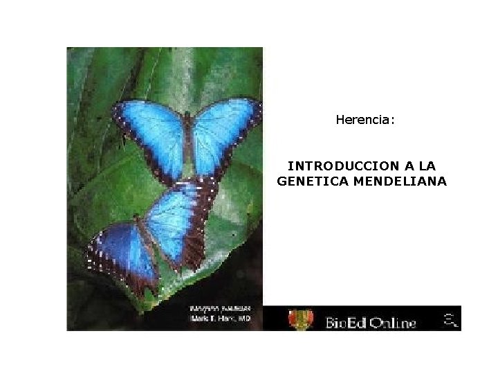 Herencia: INTRODUCCION A LA GENETICA MENDELIANA 